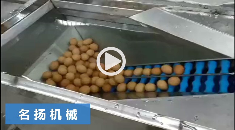 鏈板式蛋液分離機(jī)