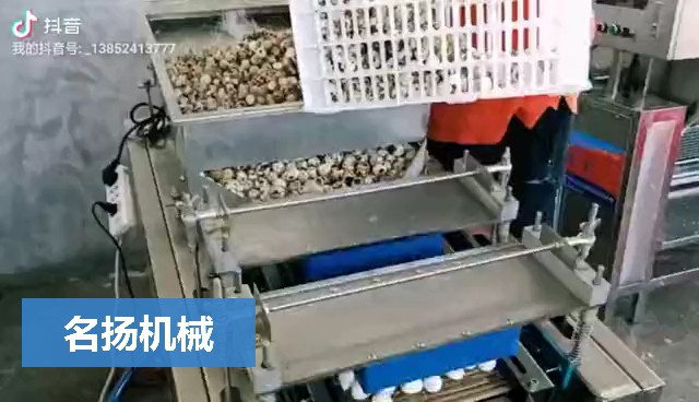 雙拍式鵪鶉蛋剝殼機(jī)